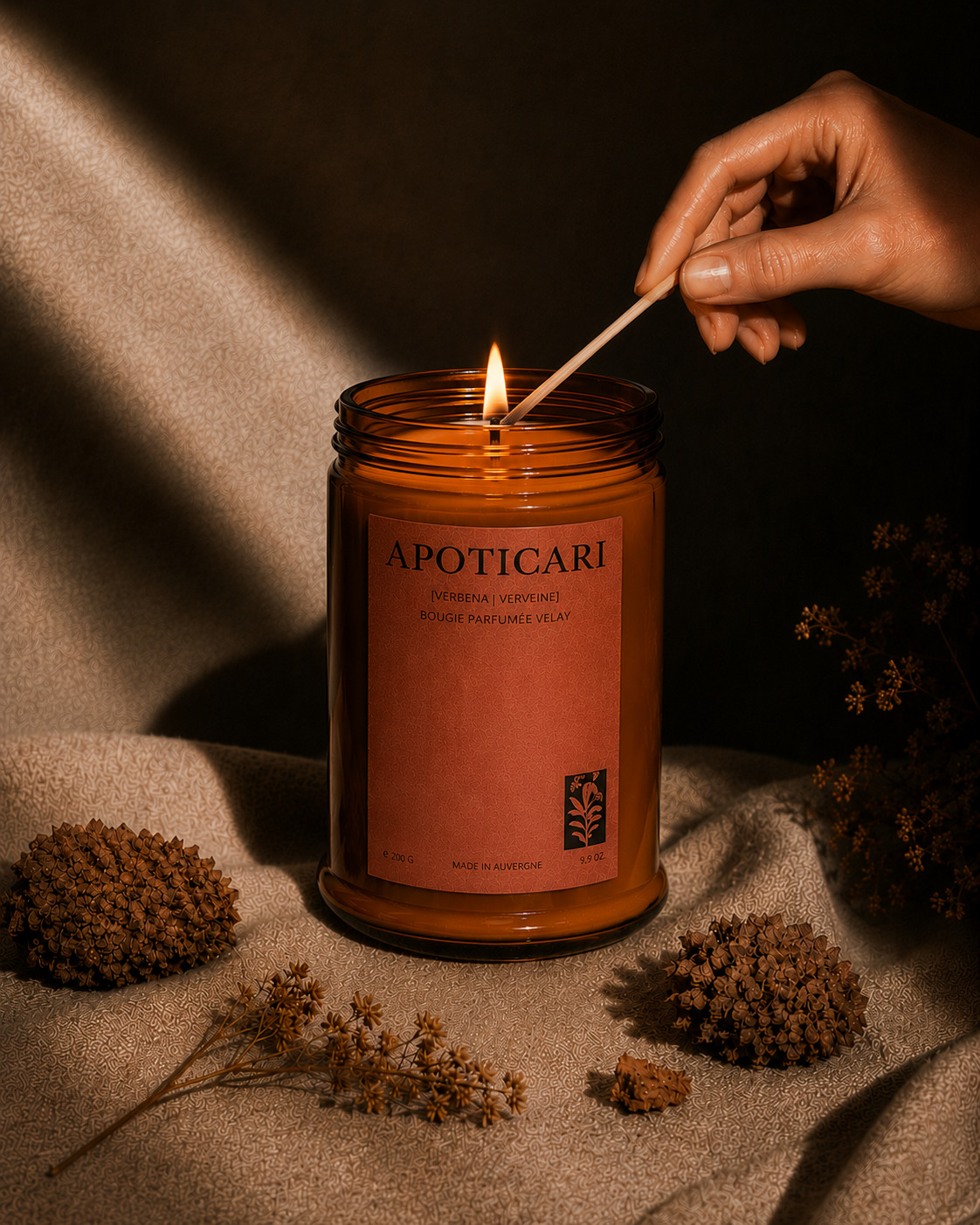 Apoticari — visuel 2